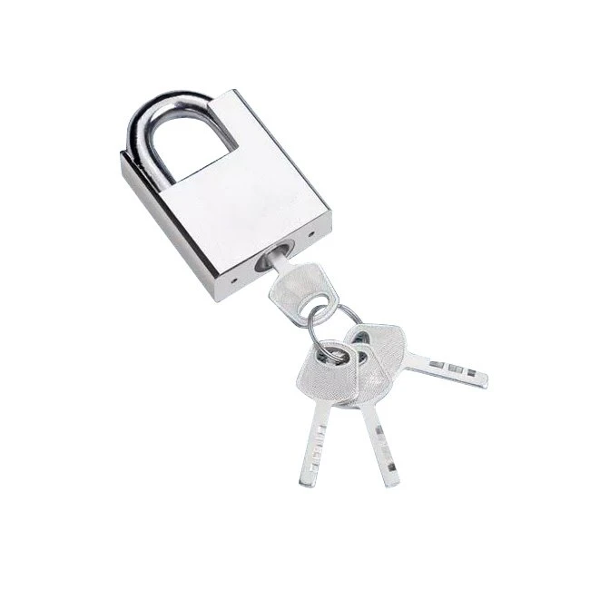 SHACKLE PROTECTED VANE PADLOCK